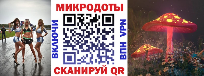 продажа наркотиков  Печора  Галлюциногенные грибы Cubensis 